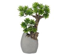 Briful Bonsai Artificial Planta artificial realista como un árbol de bonsái real artificial con maceta de cemento para baño, oficina, alféizar de ventana, altura 35 cm