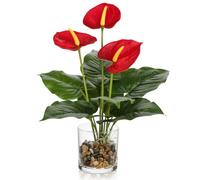 Briful Flores artificiales de 15.4 pulgadas, anturio rojo en jarrón de cristal con guijarros, plantas falsas de 39 cm de alto, flores artificiales decorativas para sala de estar, decoración de