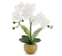Briful Flores artificiales de orquídeas blancas en maceta de cerámica