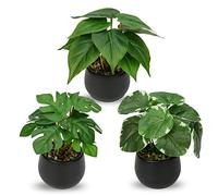 Briful Juego de 3 pequeñas plantas falsas en maceta de cerámica, plantas artificiales en maceta Monstera, cocina, baño