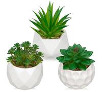 Briful Juego de 3 plantas suculentas artificiales en maceta de cerámica blanca, pequeñas plantas artificiales suculentas para mesa, plantas suculentas decorativas para baño, dormitorio, decoración del