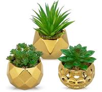 Briful Juego de 3 plantas suculentas artificiales en maceta de cerámica dorada, pequeñas plantas artificiales suculentas para mesa, plantas suculentas decorativas para baño, dormitorio, decoración del