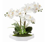 Briful - Orquídeas phalaenopsis Artificiales de plástico Sedoso en una Olla de cerámica Blanca para casa, Oficina, decoración de Boda