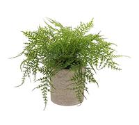 Briful Pequeñas Plantas Falsas en Maceta, decoración Artificial de Seda, espárragos, helechos, Plantas Artificiales en macetas para el hogar, Sala de Estar, Dormitorio, Escritorio, baño, Estante de