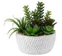 Briful Pequeñas Plantas Falsas Surtidas en macetas, suculentas realistas Artificiales con macetas de Cemento para el hogar, Mesa, Oficina, Escritorio, baño, Estante, Sala de Estar