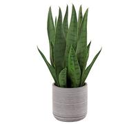 Briful Planta artificial de serpiente de 15.7 pulgadas/40 cm, Sansevieria en maceta de cemento, planta artificial de interior para baño, dormitorio, hogar, oficina, decoración de mesa
