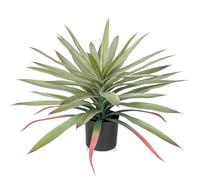 Briful Planta artificial grande de agave artificial en maceta, planta decorativa, altura 44 cm