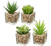Briful Planta artificial suculenta artificial planta de interior planta decorativa para salón, cuarto de baño, planta decorativa suculenta, altura 10,5 cm, en maceta de cristal, juego de 4