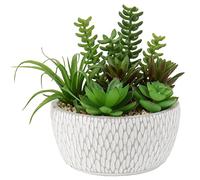 Briful Planta artificial suculentas, planta de interior artificial, arreglo de plantas suculentas, decoración de mesa, decoración para salón, aparador, altura de 16 cm