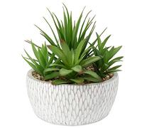 Briful Planta artificial suculentas, planta de interior artificial, arreglo de plantas suculentas, decoración de mesa, decoración para salón, aparador, altura de 16 cm