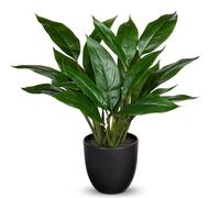 Briful Plantas artificiales de 16.9 pulgadas en maceta, Calathea Makoyana, plantas artificiales decorativas de interior, plantas en maceta de imitación Maranta para decoración del hogar, oficina,