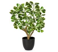 Briful Plantas artificiales de ficus de 43 cm de alto, árbol ficus verde y blanco, plantas artificiales para interiores, pequeño árbol de ficus artificial para decoración del hogar, cocina, baño