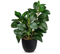 Briful Plantas artificiales de peperomia artificial de 14 pulgadas en maceta, plantas artificiales de peperomia de 36 cm, plantas verdes decorativas para interiores, pequeñas plantas artificiales para