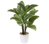 Briful Plantas artificiales grandes de 28.5 pulgadas de alto, plantas artificiales de 63 cm de alto, plantas artificiales de dieffenbachia canna, plantas artificiales de interior en maceta para