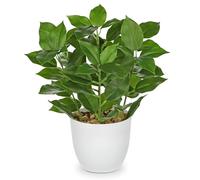 Briful Plantas artificiales pequeñas de 25 cm para interiores en maceta, ficus artificiales decorativos para casa de campo, jardín, decoración de fiestas