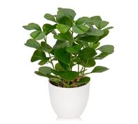 Briful Plantas falsas pequeñas de 25 cm, trébol de cuatro hojas, plantas artificiales para interior en maceta, planta artificial en maceta para decoración de casa de campo, jardín, fiesta