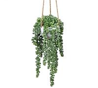 Briful Senecio - Planta colgante artificial para plantas artificiales (35,5 cm de altura, en colgador)