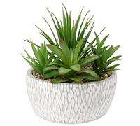 Briful Small Fake Plants Assorted Faux Succulents in Pots Realistic Succulents Plants Artificial with Cement Pots for Home Table Office Desk Bathroom Shelf Living Room Decor