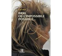 Brig ou l'impossible possible...: Chroniques d'un amour au temps du virtuel