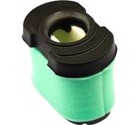 Briggs and Stratton 310195 Filter, Multi-Colour
