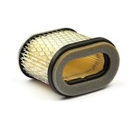 Briggs and Stratton Genuine 692446 Air Filter Cartridge
