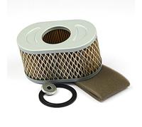 Briggs & Stratton Genuine Air Filter Cartridge 797033