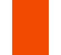 Bright Orange Notebook: A 6X9 fun, exciting, and radiant notebook with 120 pages made for your hardworking notes