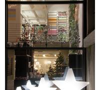 Bright Star 40 cm 32349 Diseño 8 estaciones