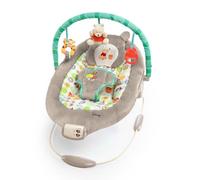 Bright Starts, Disney Baby Hamaca bebé Winnie the Pooh vibraciones relajantes - música, barra de juguetes extraíble, 0-6 meses (Dots & Hunny Pots)