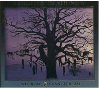 Brighter Death Now - Necrose Evangelicum