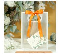 BrightGlow Bolsas de regalo transparentes de PVC con asas, pequeñas bolsas de fiesta con lazos, bolsas de regalo reutilizables, bolsas plegables 30 × 22 × 11 cm, #6 transparentes, 12 unidades