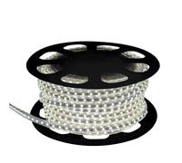 Brightium TIRA LED 230V IP68 SMD5050 25mts, luz fría, ideal para iluminación de exteriores y decoraciones resistentes a la intemperie.