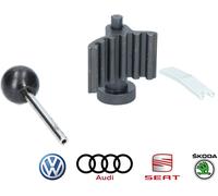 Brilliant Tools Juego de Herramientas de Ajuste de Motor para VAG 2.0L Tdi