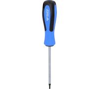 Brilliant Tools Schraubendreher TORX, T15 x 100 mm BT031044
