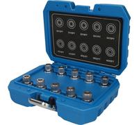 Brilliant Tools Surtido de pernos antirrobo para BMW, 10 pzs