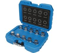 Brilliant Tools Surtido de pernos antirrobo para VW, 10 pzs