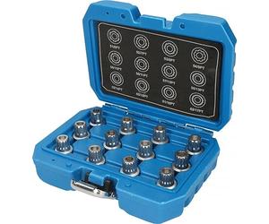 Brilliant Tools Surtido de pernos antirrobo para VW, 12 pzs