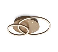 BRILONER - Lámpara de Techo con Pequeños Puntos LED, Luz Blanca Cálida, Orientable, Marrón-Oro, Lámpara de Salón de 24W con Función Memoria, 400x300x75 mm (Lxaxa)