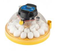 Brinsea maxi 24 advance incubadora para pollitos