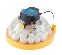 Brinsea maxi II eco incubadora analógica con volteo manual para pollitos