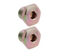 Briny River 2 Tornillos Allen para Tapón de Drenaje M12x1,5 866.366.001 11131742994 Compatible con BMW Serie 3 E90