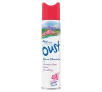 Brise Oust Purificador de Aire Vaporizador Garden Fresh - 300 ml