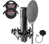 Briskdrop sE Electronics SE2200 - Paquete de micrófono condensador de diafragma grande con montaje de choque, filtro de pantalla pop y 2 cables XLR de 10 pies