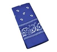 Bristol Novelty- Cowboy Bandana, Color Azul, Talla única (BA482B)