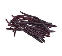 Bristol Novelty GJ429 Gusanos decorativos para Halloween, unisex, adulto, marrón, talla única Halloween