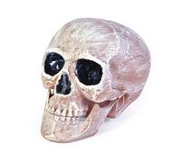 Bristol Novelty-HI266 Calaveras Bristol Novelty HI266-Cabeza de cráneo, rosa y blanco, color, talla única (HI266)