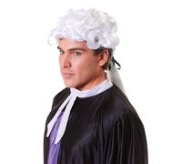 Bristol Novelty Peluca de Juez para Disfraz (BN2060)