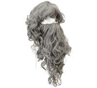 Bristol Novelty Set de Barba y Peluca Wizard (BN6095)