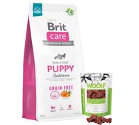 BRIT CARE Dog Grain-free Puppy Salmón 12kg
