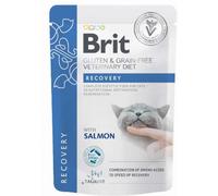 Brit Diet Gf Cat Pouch Recovery